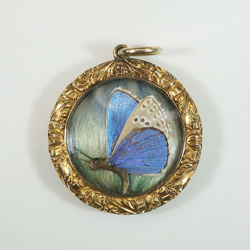 Blue Butterfly in Engraved Gold Locket