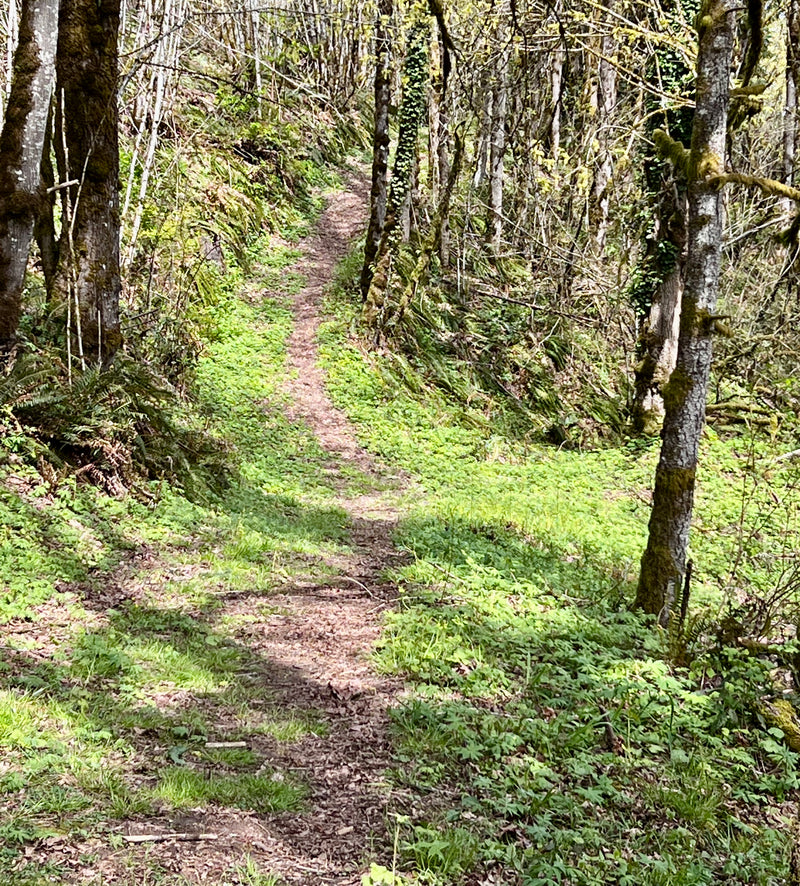 Every Day is Earth Day