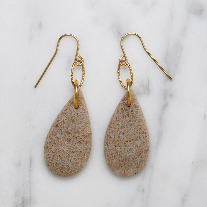 Fossilized Coral & Gold Fill Earrings by Brin