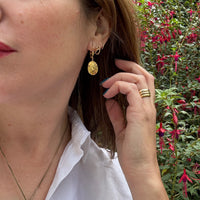Adorable 14k Gold Sand Dollar Drop Earrings