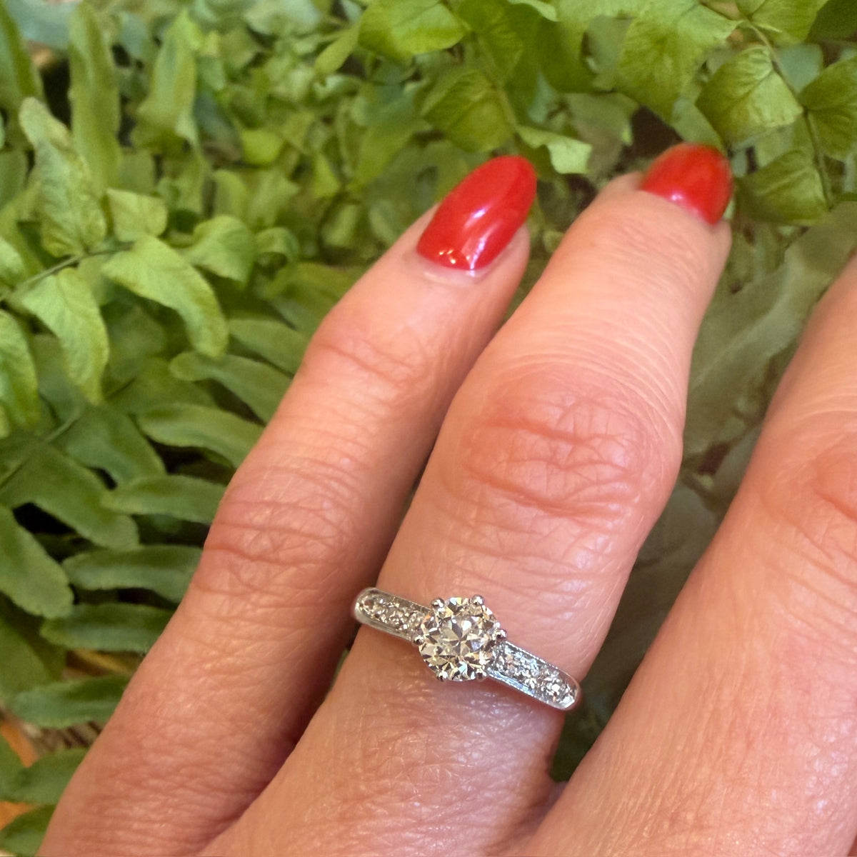 Old Euro Cut Diamond in Elegant Two-Tone Engagement Ring