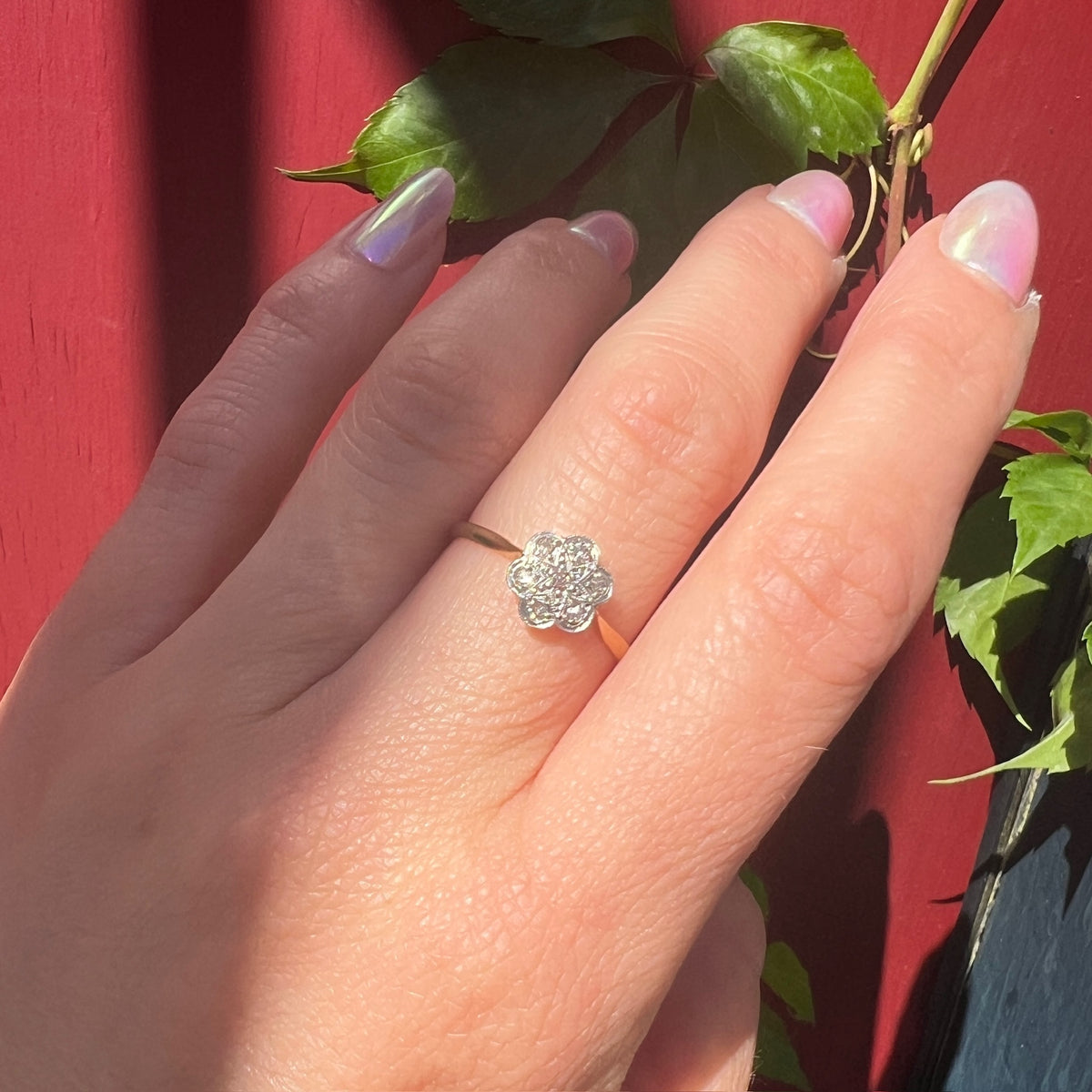 Starry-Flower Diamond Ring in Platinum & 18ct Gold