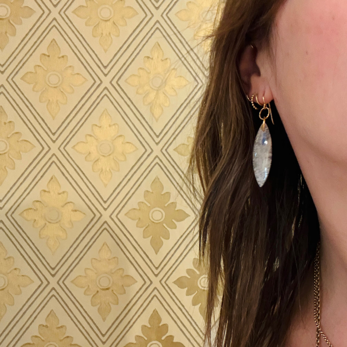 Dreamy Moonstone & Gold Fill Earrings from Brin