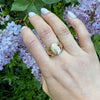19thc Lion Signet Ring