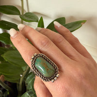 Green & Gold Turquoise in Handsome Silver Ring