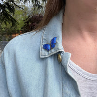 Darling Butterfly Brooch with Blue Enamel Wings