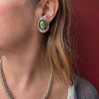 Gorgeous Green Turquoise in Graphic Silver Earrings