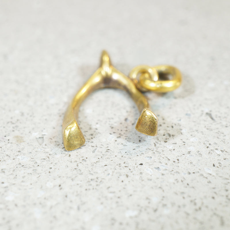 Make-a-Wish 14k Gold Wishbone Charm