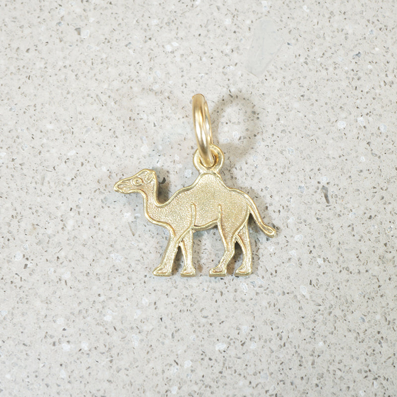 Travel by Camel Charm