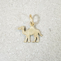 Travel by Camel Charm