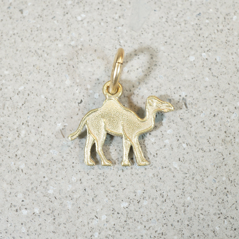 Travel by Camel Charm