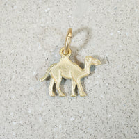 Travel by Camel Charm