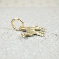 Travel by Camel Charm