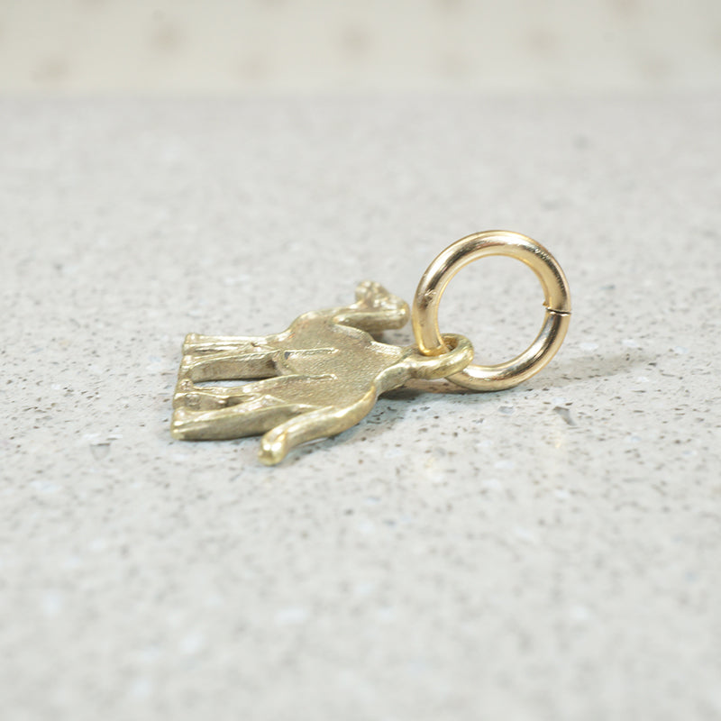 Travel by Camel Charm