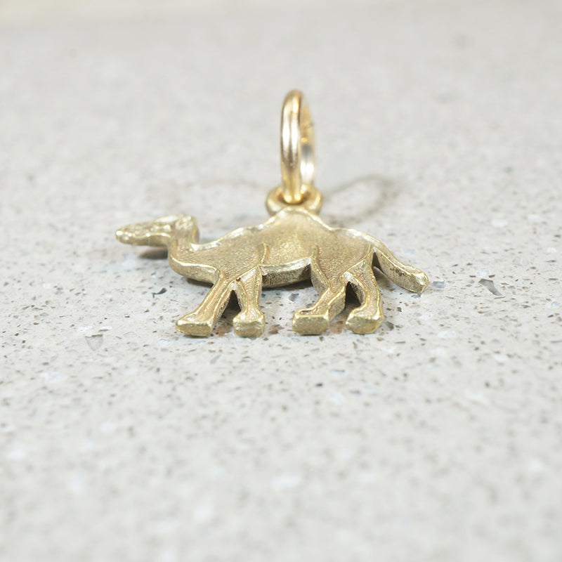 Travel by Camel Charm