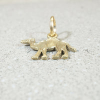 Travel by Camel Charm
