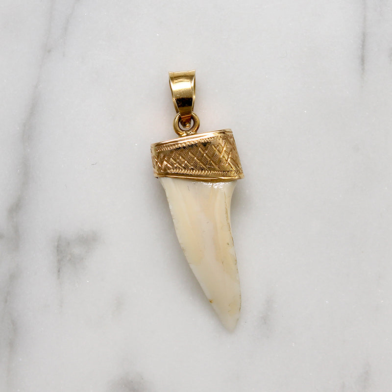 Gold Capped Tooth Charm from Ancient Influences