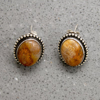 Petrified Bone & Sterling Silver Stud Earrings
