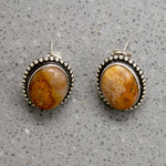 Petrified Bone & Sterling Silver Stud Earrings