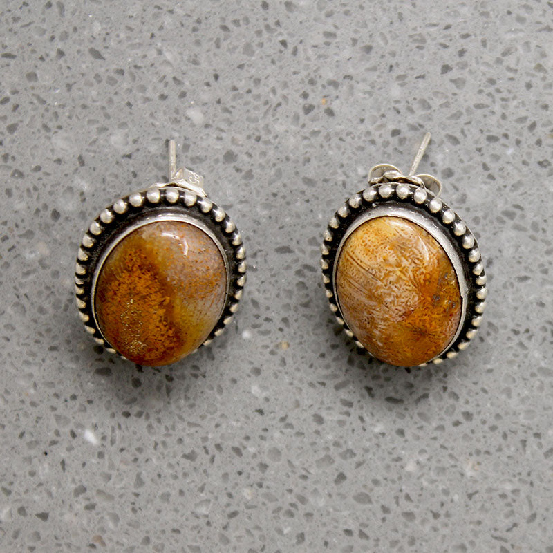 Petrified Bone & Sterling Silver Stud Earrings