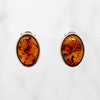 Radiant Oval Amber Cabochon Sterling Stud Earrings