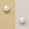 Glossy White Pearls in 14k White Gold Stud Earrings