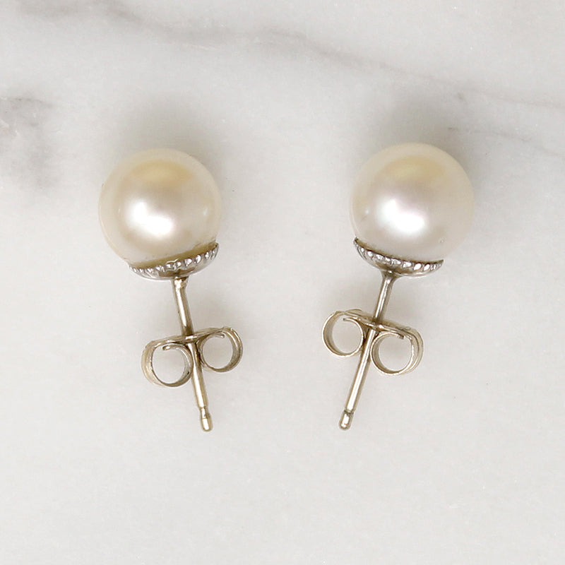 Glossy White Pearls in 14k White Gold Stud Earrings