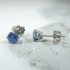 Montana Sapphire 1tcw Studs in White Gold