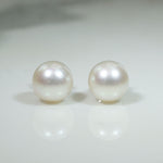 Glowing 8mm Cultured Pearls in White Gold Studs