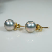 Silvery-Pinkish-Grey 6mm Pearls in Gold Studs