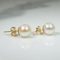 Glowing 7.3mm Pearls in 14k Gold Stud Earrings