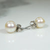 Glossy White 7mm Pearls in 14k White Gold Studs