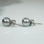 Iridescent Dark Grey 6mm Pearl & White Gold Studs