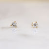 Pretty Little .20tcw Diamonds in 14k Gold Studs