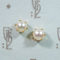 Creamy Pearls in Distinctive Gold Stud Earrings