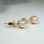 Creamy Pearls in Distinctive Gold Stud Earrings