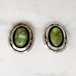Gorgeous Green Turquoise in Graphic Silver Earrings