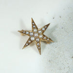 Radiant Little Gold & Pearl Star Brooch