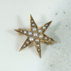 Radiant Little Gold & Pearl Star Brooch