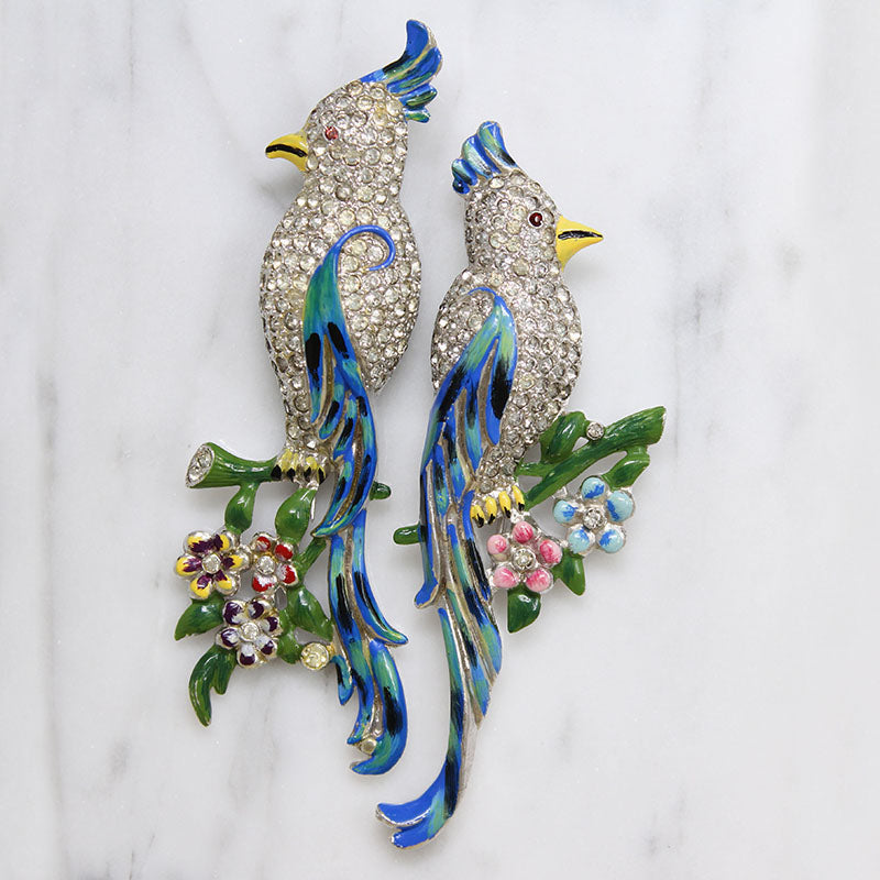 Coro Tropical Bird Duette Clips without Frame