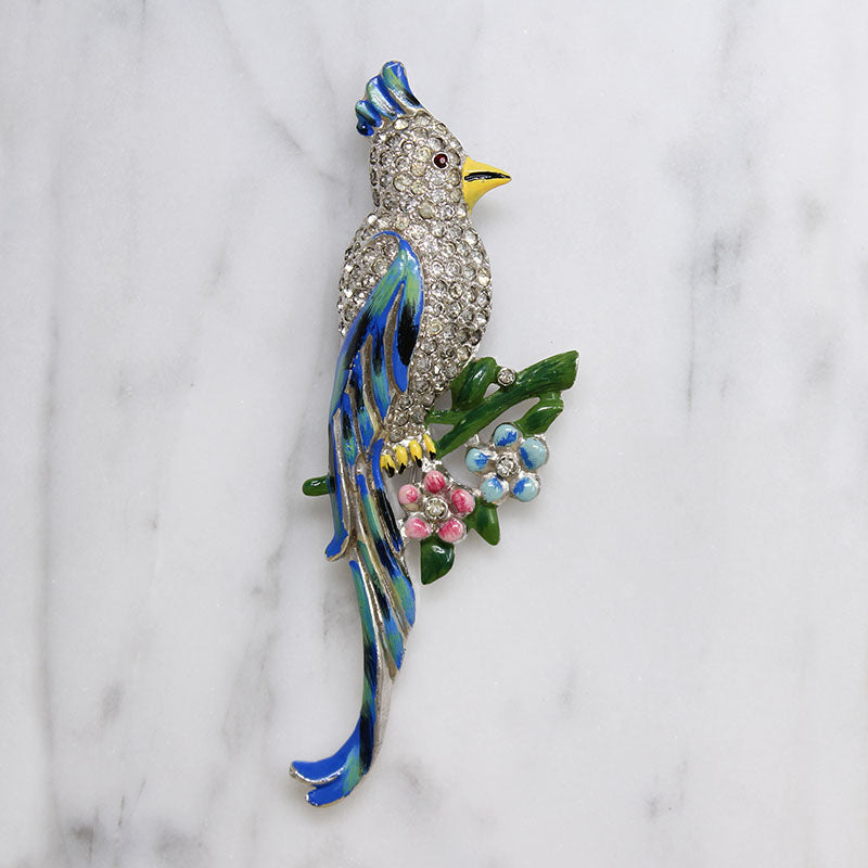 Coro Tropical Bird Duette Clips without Frame