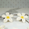 Vintage Ming's Plumeria Necklace and Earrings