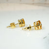 Frozen Honey Citrine in Gold Stud Earrings