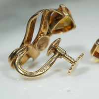 Raymond Yard Earrings