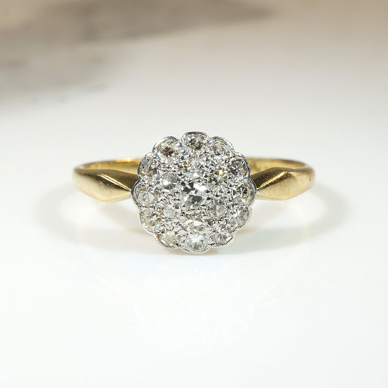 Lush Floral Diamond Cluster in Platinum & 18ct Ring