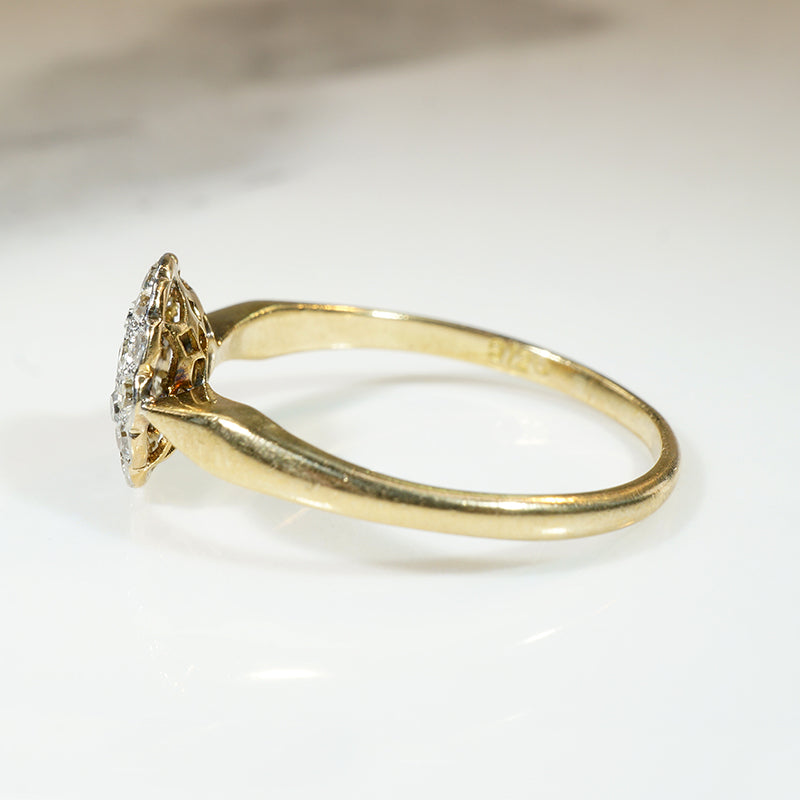 Lush Floral Diamond Cluster in Platinum & 18ct Ring