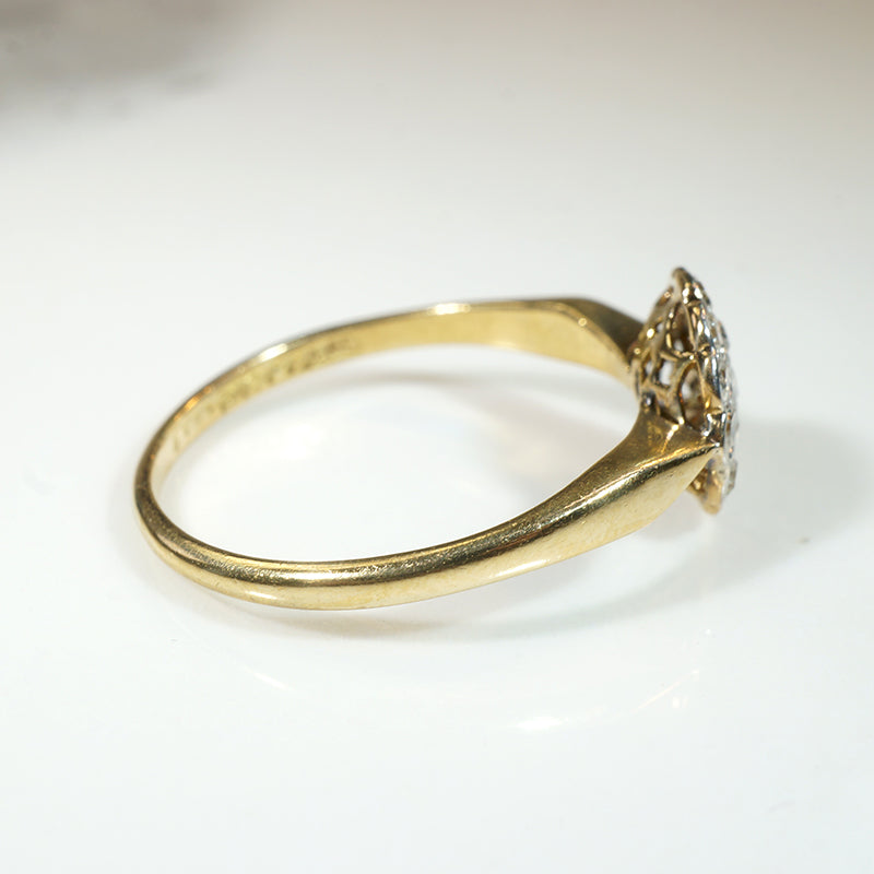 Lush Floral Diamond Cluster in Platinum & 18ct Ring