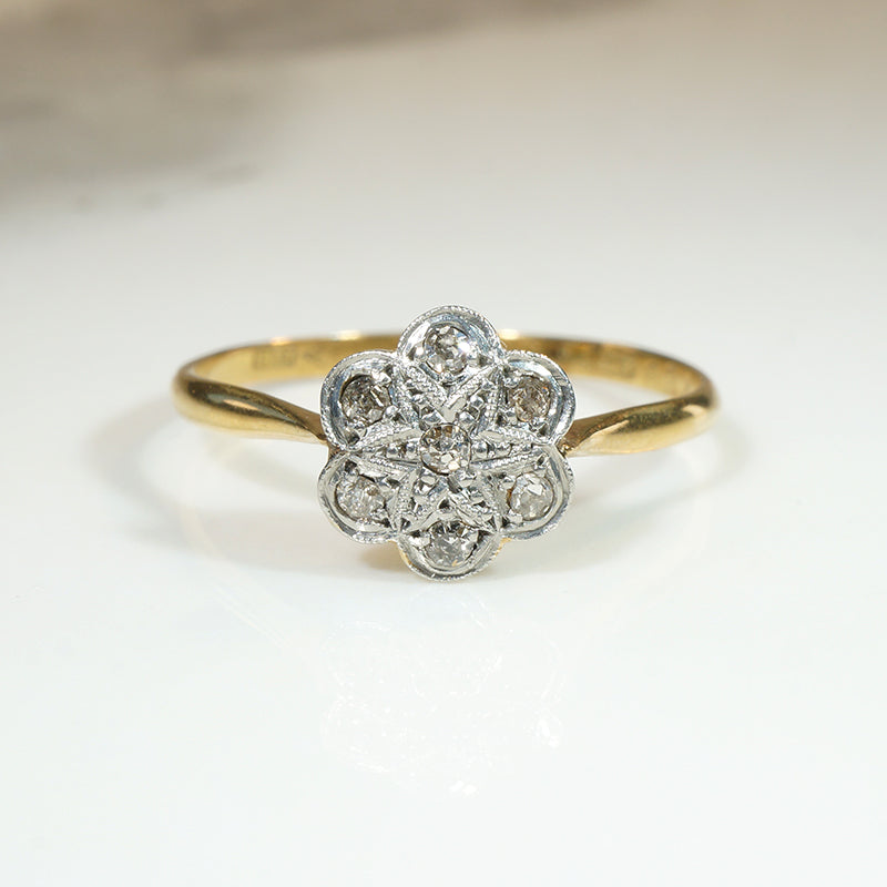 Starry-Flower Diamond Ring in Platinum & 18ct Gold