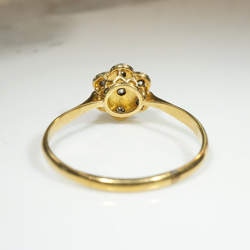 Starry-Flower Diamond Ring in Platinum & 18ct Gold