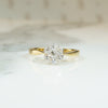 Dainty Daisy Diamond Cluster in Platinum & 18ct Ring